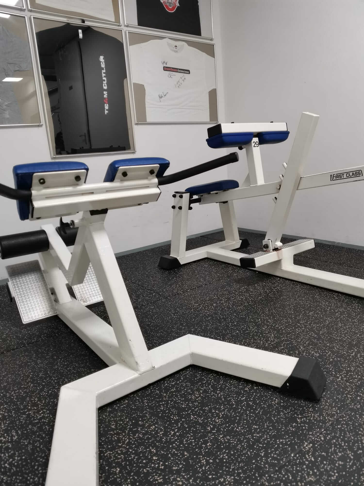 FirstClass hyperextension waarbij de onderrug en hamstrings worden geactiveerd. Daarnaast een seated calf raise, waarbij de kuiten worden versterkt.