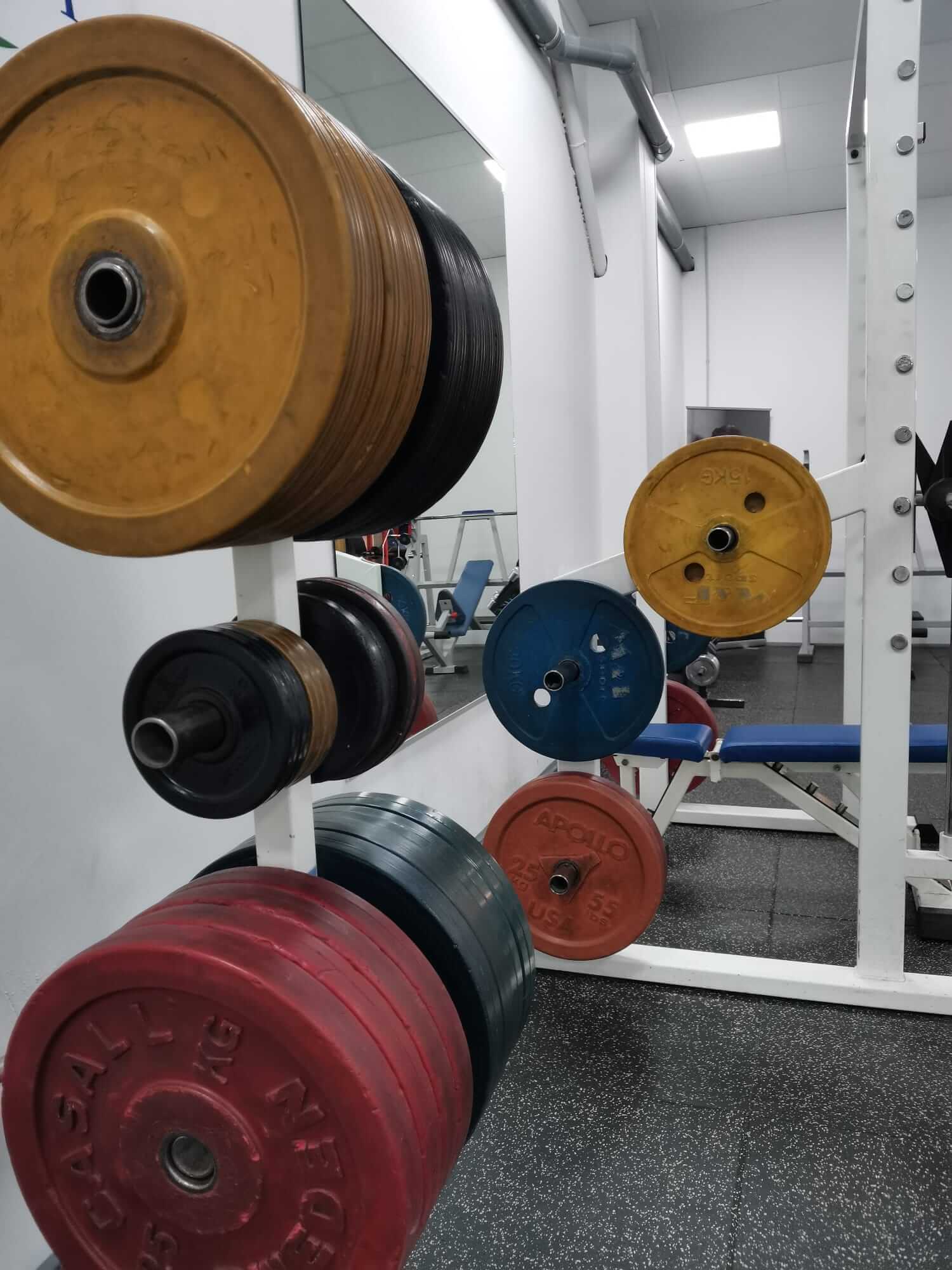 Olympische schijven op een rek, met een doorkijk naar de Smith-machine in de achtergrond. Een professionele en georganiseerde trainingsomgeving.