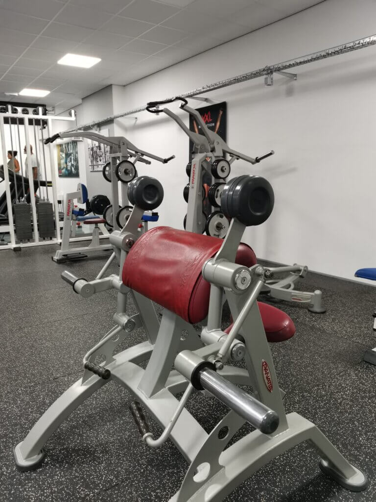 Panatta Alternated Free Weight Bicep Curl